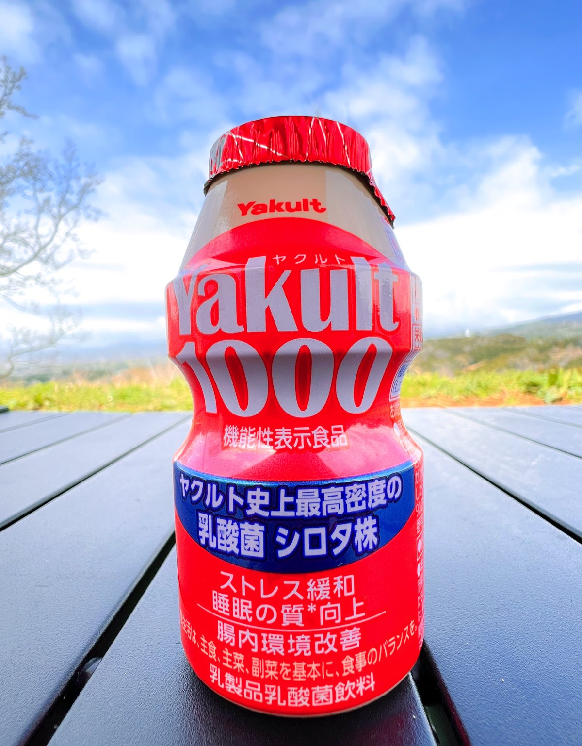 写真②　Yakult1000.jpg