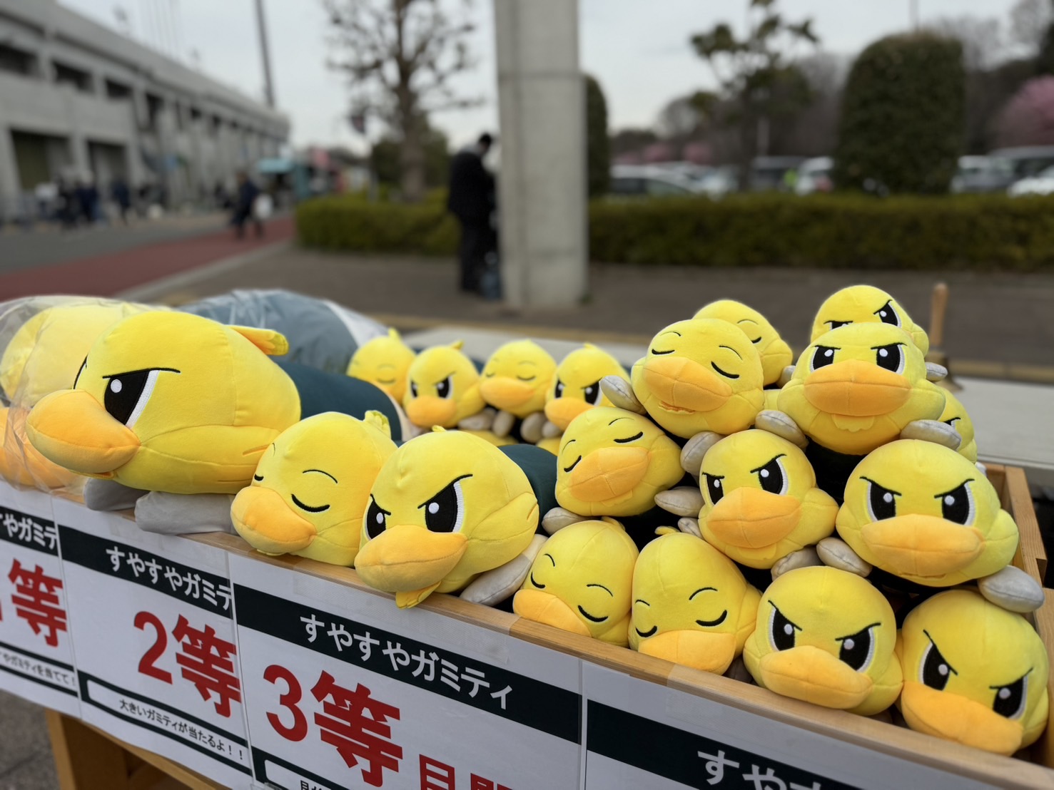 S__84090888.jpg