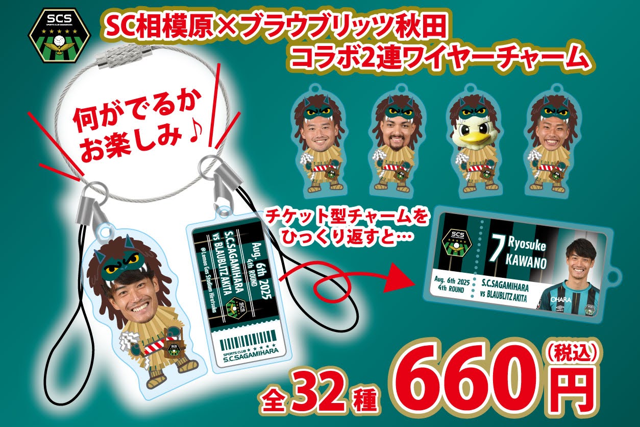 80591-SCsagamihara-POP--print-ticket-01.jpg