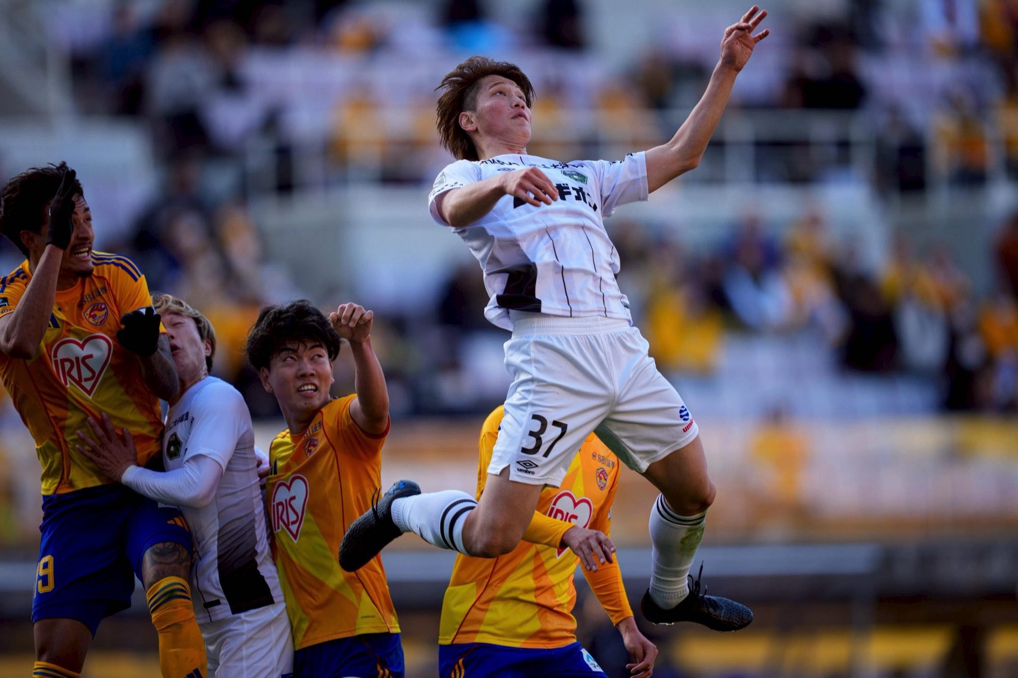 LINE_ALBUM_2026.3.14 _1_260314_1 copy.jpg