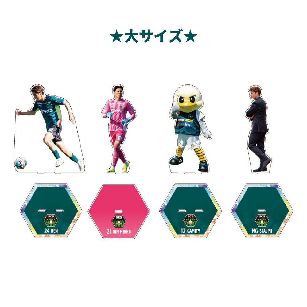 プレーアクスタ_★大サイズ★.jpg