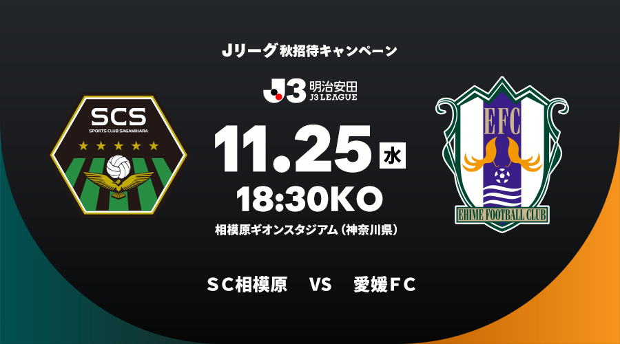sagamihara_ehime.jpg